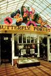 Phips Conservatory Banner Project