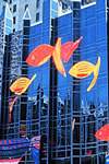 Arts Festival Banners
